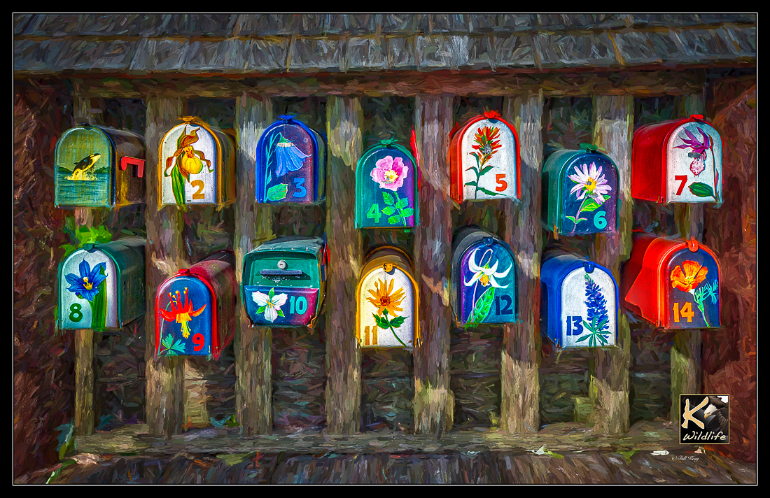 Mailboxes - granville island ART