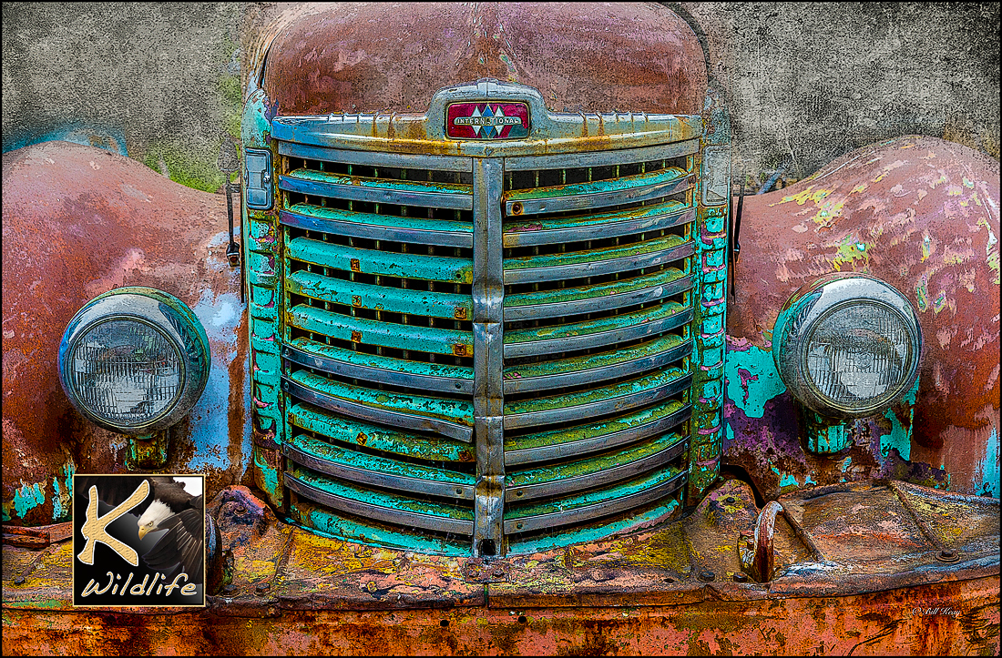 beautiful rusty truck