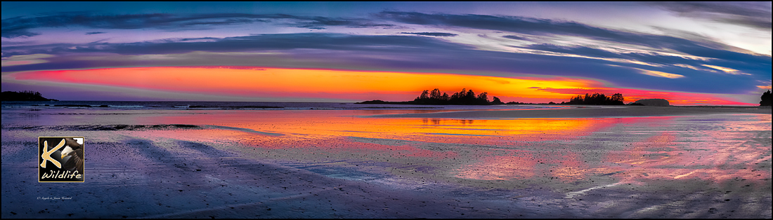 chesterman's beach pano colors