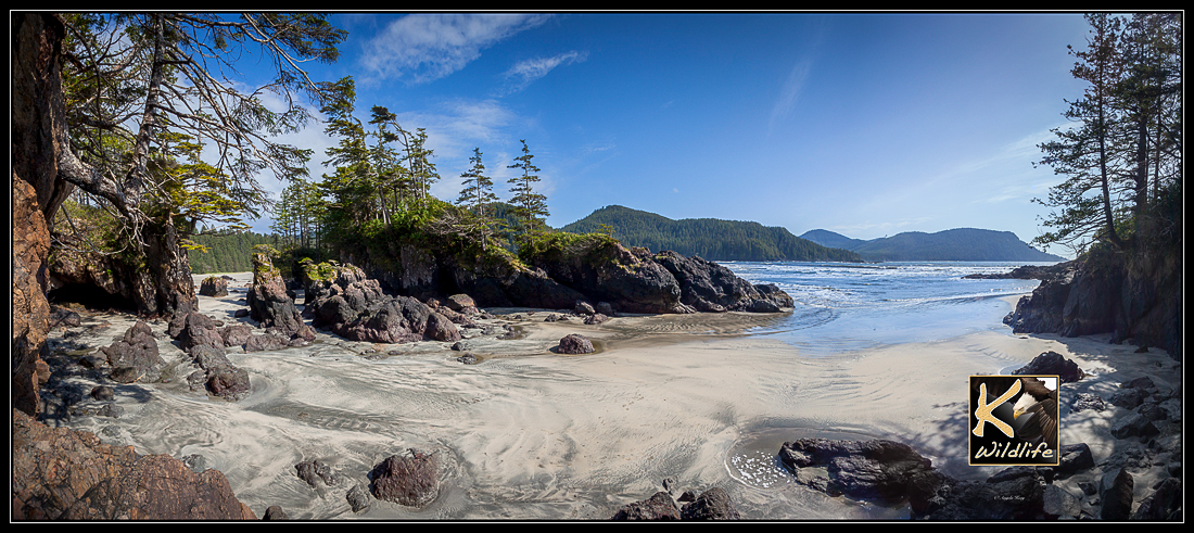 St. Joseph's vista 2