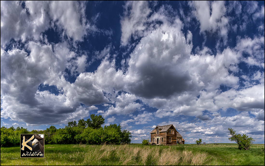 prairie home 14