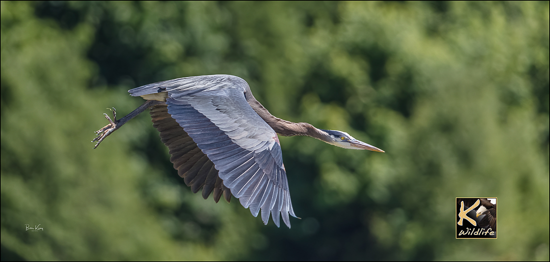 Heron flyby
