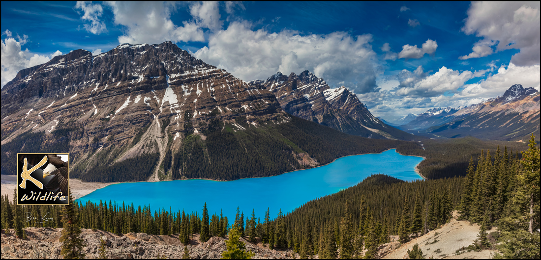 5 - Peyto Lake