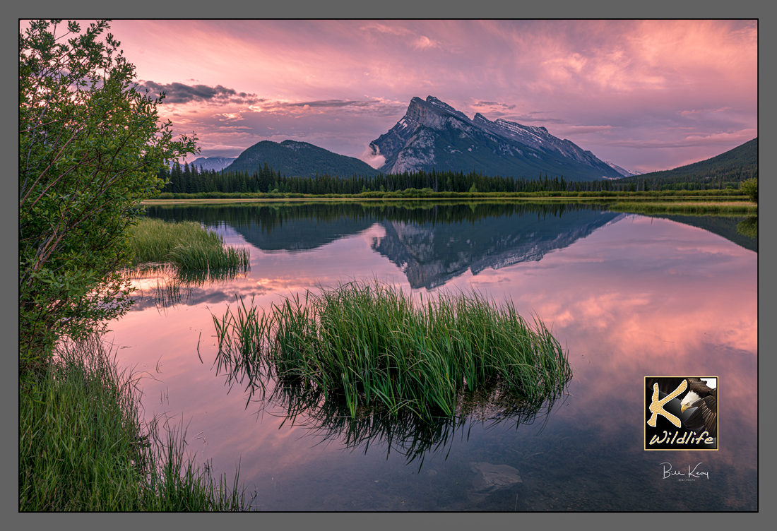6 - Mt. Rundle early morning pond