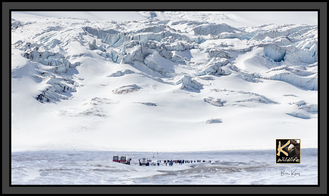 12 - Columbia Ice Fields