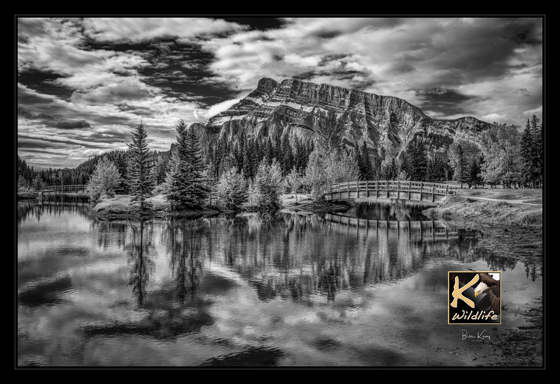 black & white Mt. Rundle Banff...