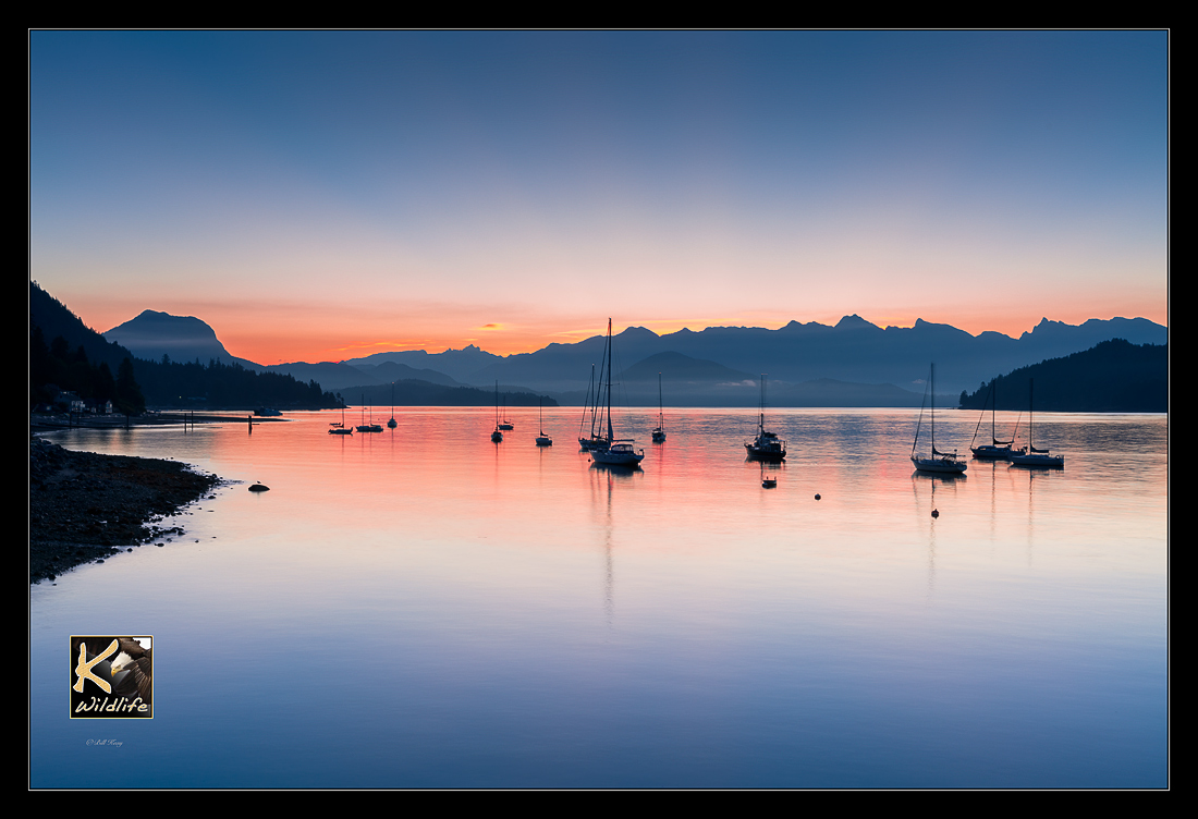 Gibsons harbour sunrise 2