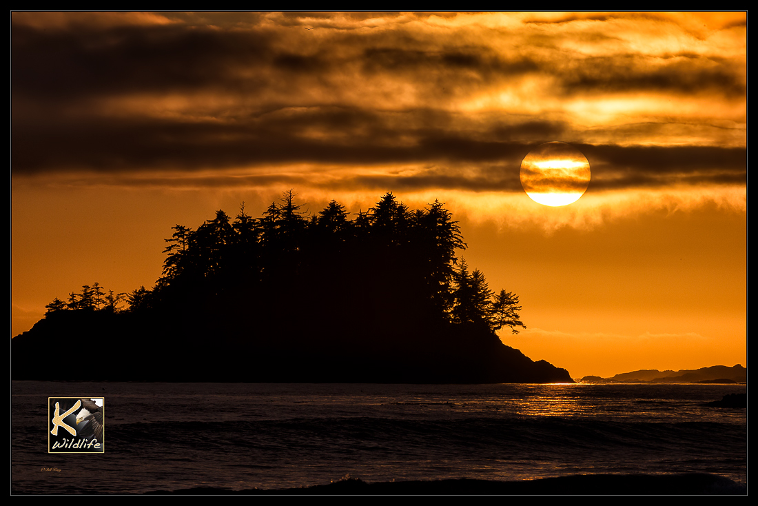 tofino summer sunset 1