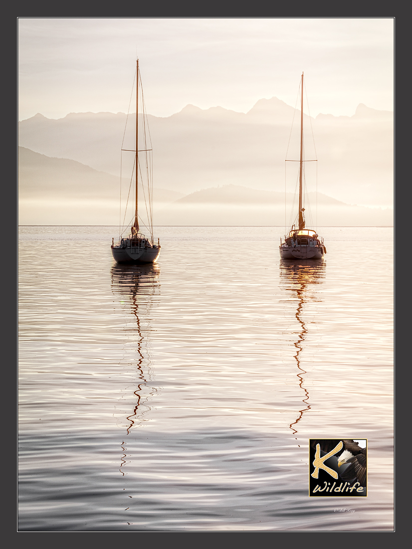 Gibsons Habour sailboats 23