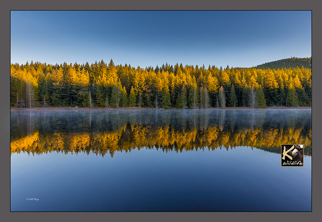 trout lake reflection 32