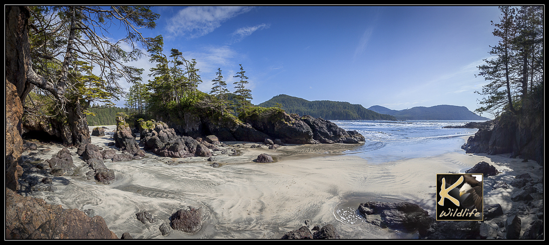 St. Joseph's Cove 33