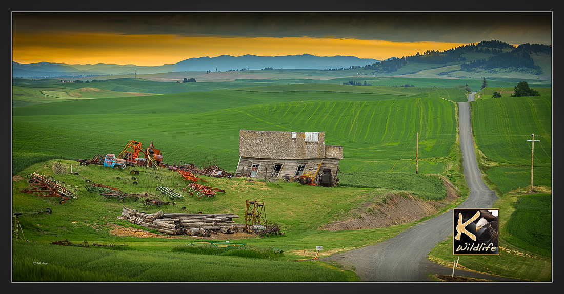 palouse farm scape 47 