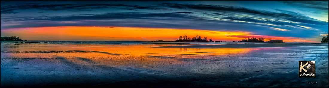Chesterman's beach pano 57