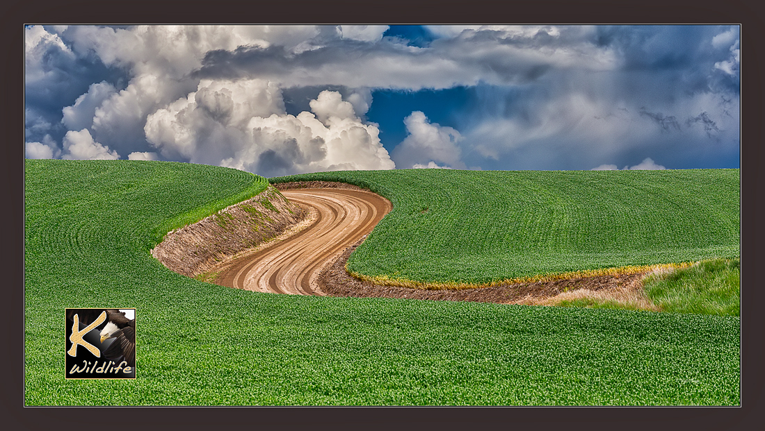 new fields and cloudy day