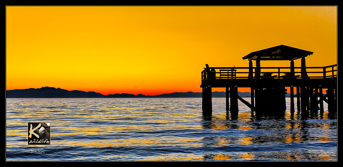 Davis Bay new pier sunset