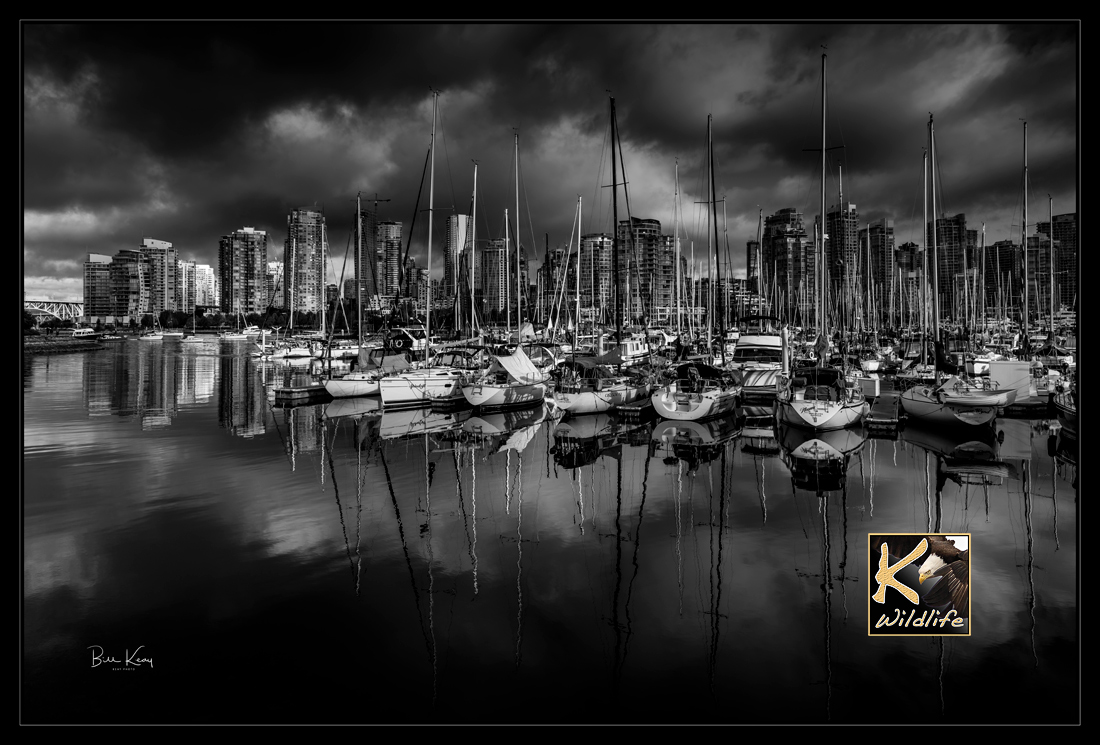 Vancouver Harbour B & W