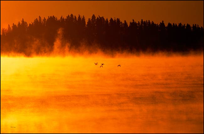 Astonia Lake sunrise 7