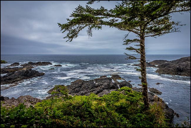 Ucluelet Ocean 8