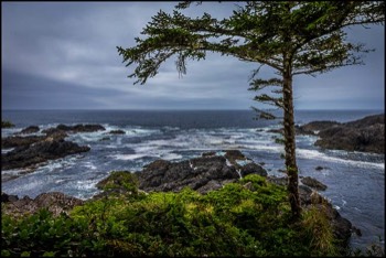  Ucluelet ocean 14 