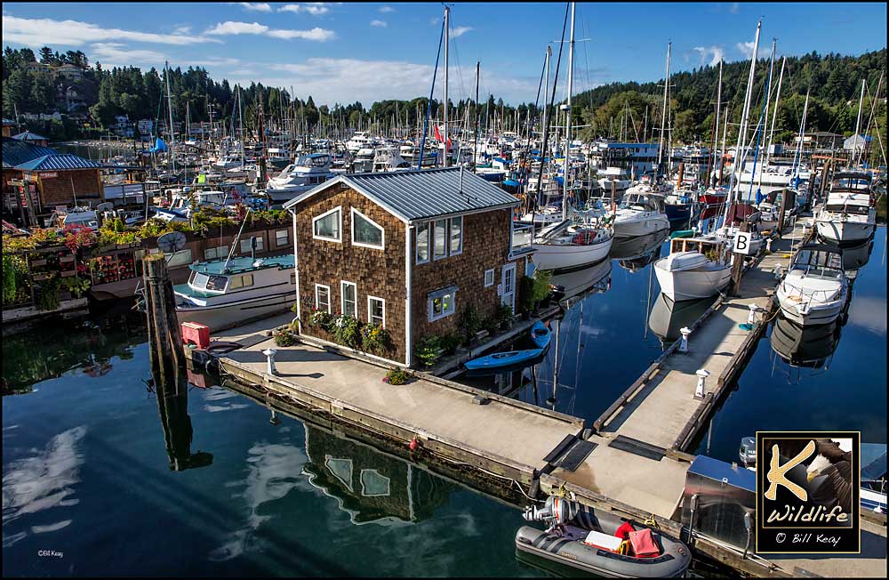 Gibson's harbour scenic 23