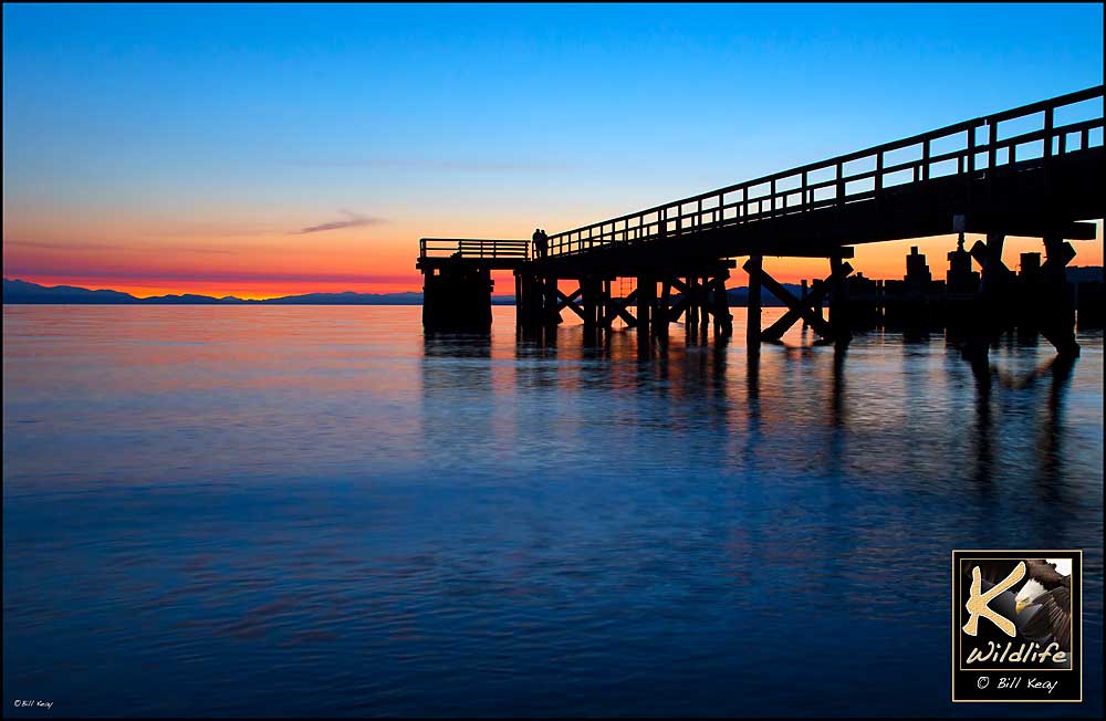 Davis Bay old pier 25