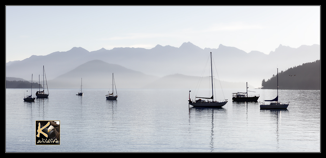 gibsons habour calm 29