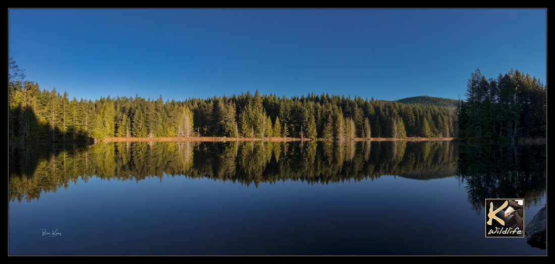 Lake Pano 5