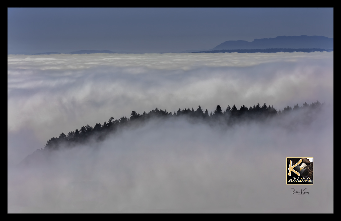 Island Fog - Salish Sea