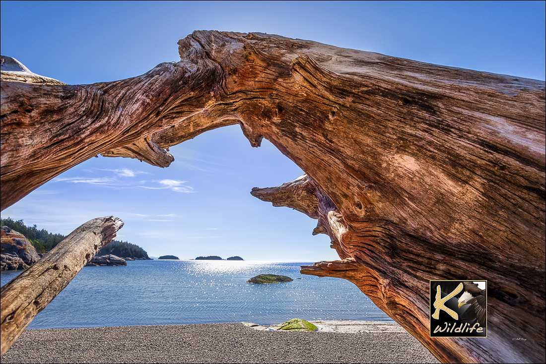 driftwood porthole 1