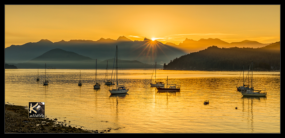 gibsons golden habour 3