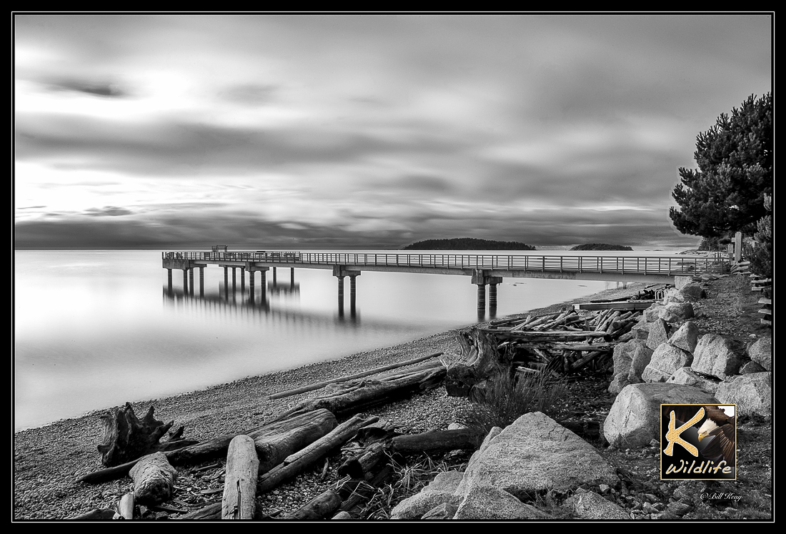 Sechelt Pier b&w 6