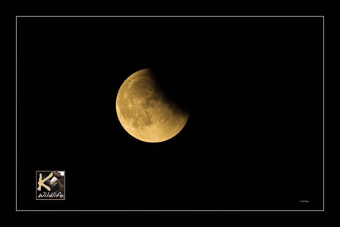 parcial moon eclipse 11