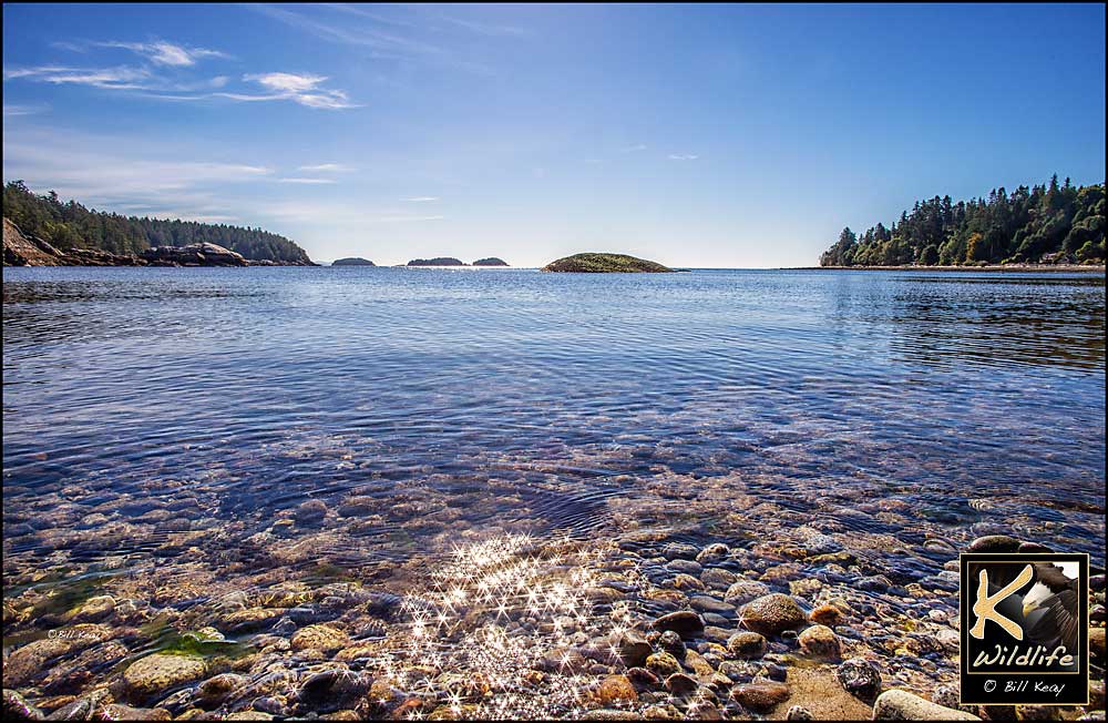 Sgt. Bay waterfront 19