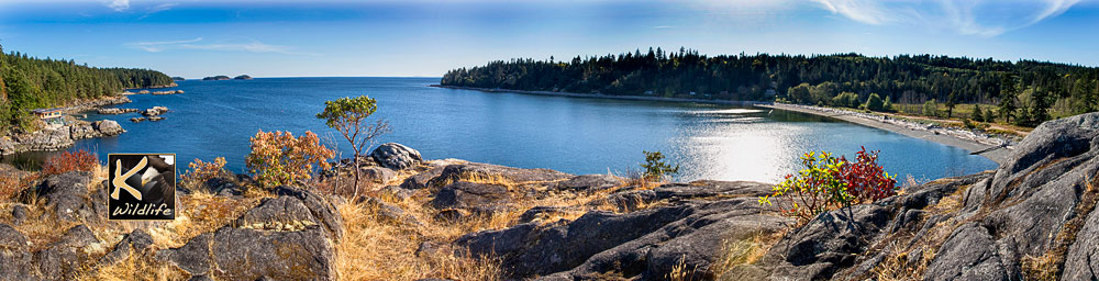 Sargeant Bay pano 21
