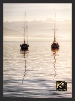  duo sailboats morning 27 