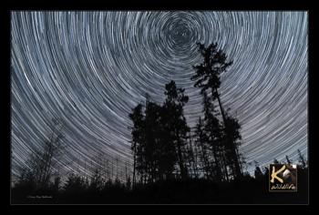  star trails 42 