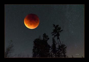  blood moon 12 