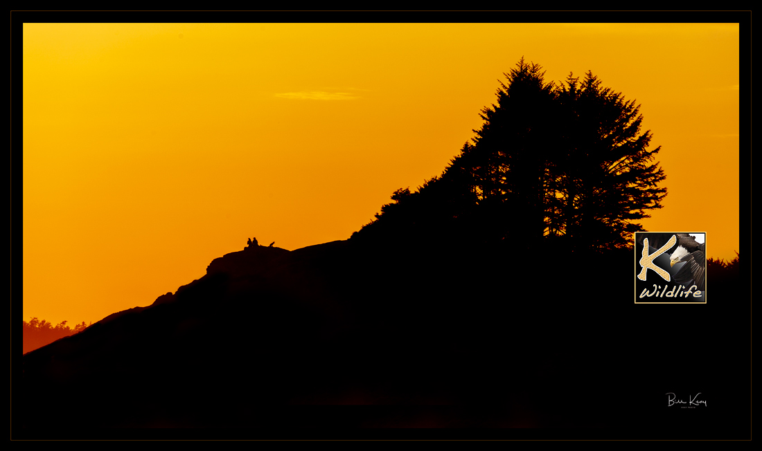 tofino picnic (see family on rock)