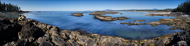 Wickaninnish cove 14