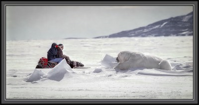 Wanda, Inuit guide,  & polar bear