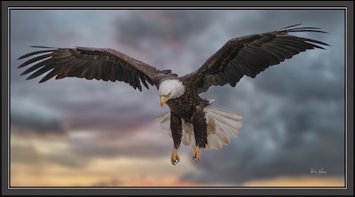 eagle lift