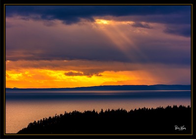 Salish Sea