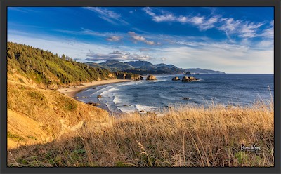 oregonYELLOWgrass.jpg