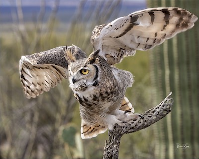 takeoff