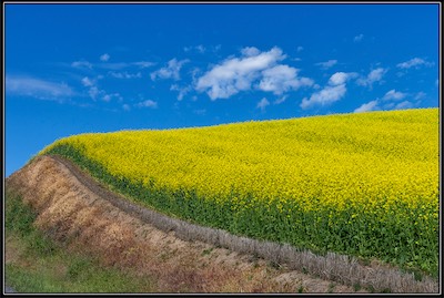 crop on layers of soil