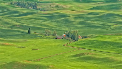 green farmland