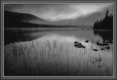 reedy lake
