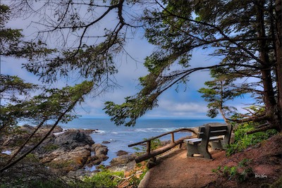 bench view