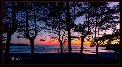 Cox Bay, Tofino